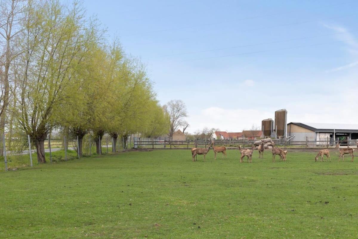 Villa Huswell - Family House With A Beautiful View In Damme Bruges Esterno foto